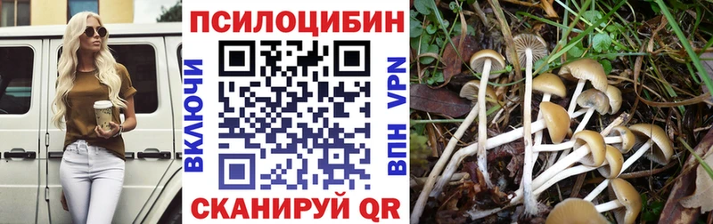 где можно купить   Камышлов  Галлюциногенные грибы GOLDEN TEACHER 